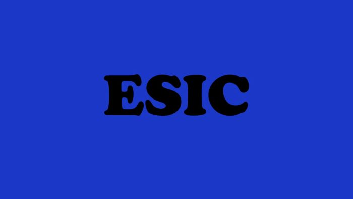 ESIC Online Mock Exams for Top Scores
